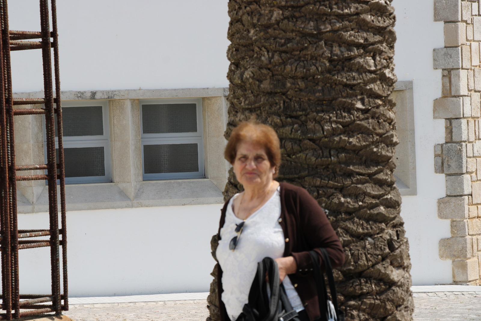 Professora Helena Brito